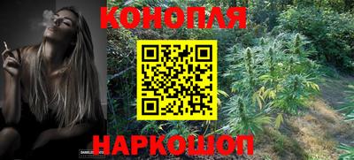 ешки Ставрополь