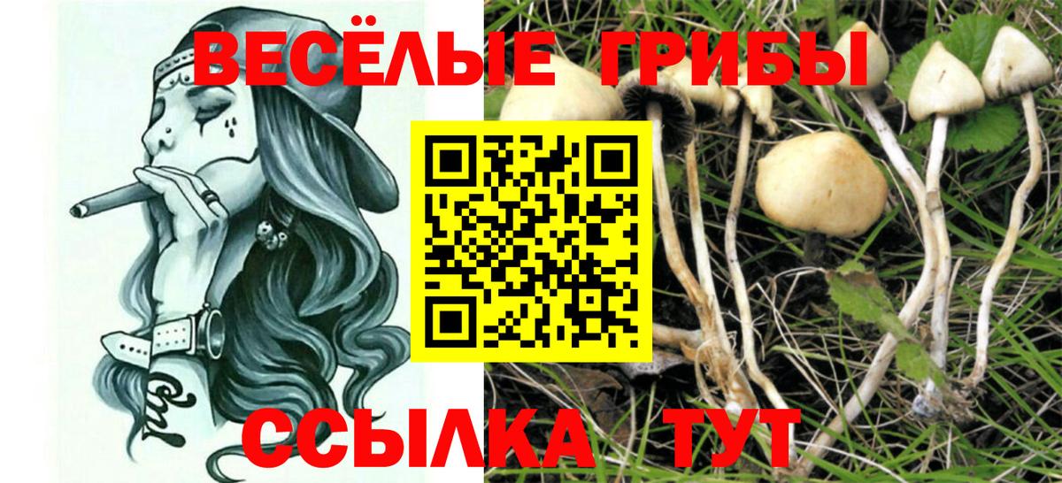 Нефтекамск  Псилоцибиновые грибы прущие грибы  Вход с VPN 